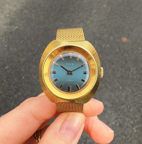 Prim Želva Zlatomodré