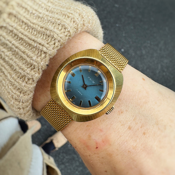 Prim Želva Zlatomodré